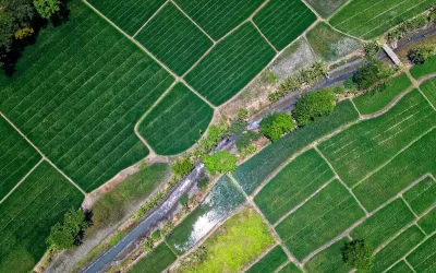 Crescimento em Portugal: Tecnologia, Energias Renováveis, Turismo e Agronegócio