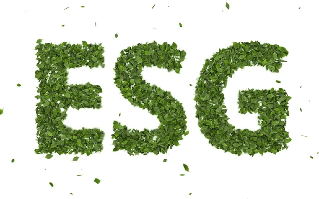 ESG como fator de competitividade e acesso a mercado