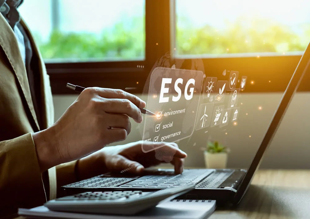 bwtc imagem negocios em portugal