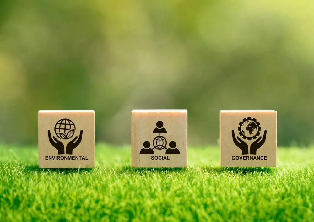 bwtc imagem negocios em portugal