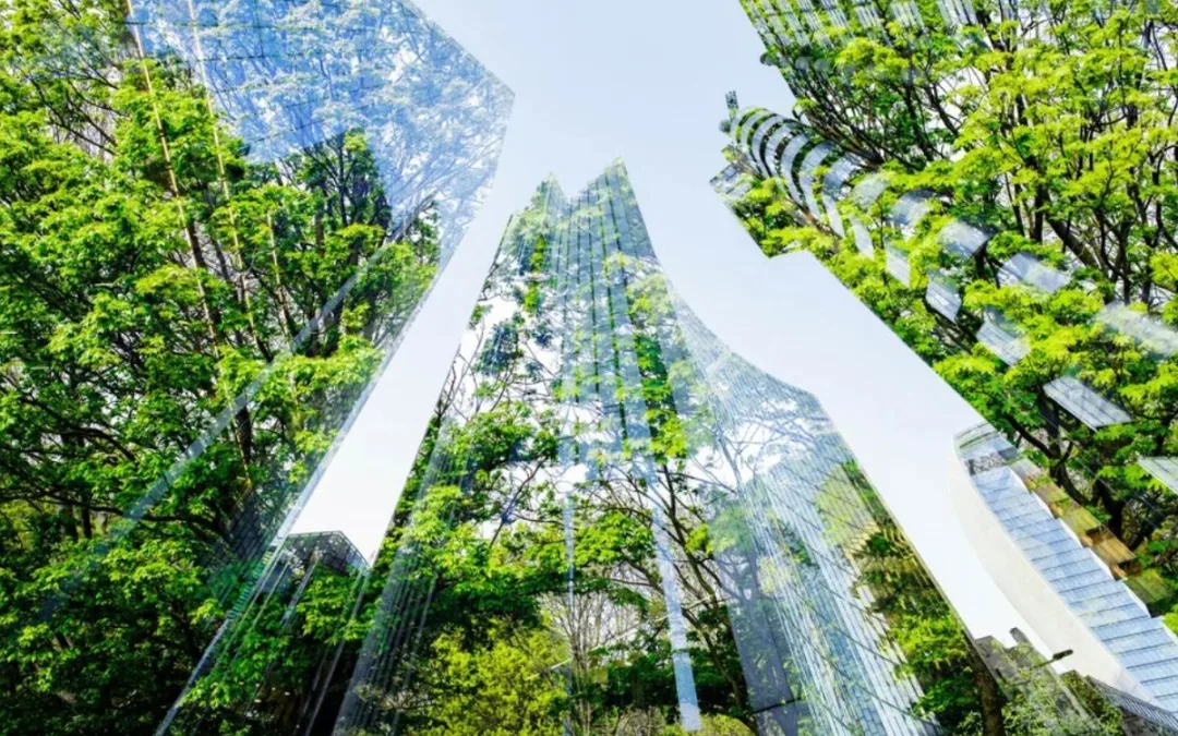 VSME: o novo standard europeu que redefine o reporte ESG nas PME