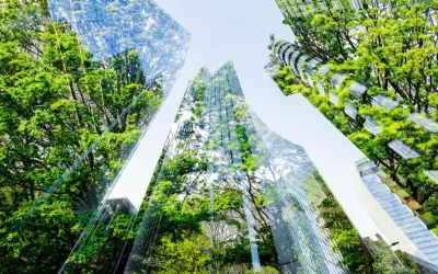 VSME: o novo standard europeu que redefine o reporte ESG nas PME